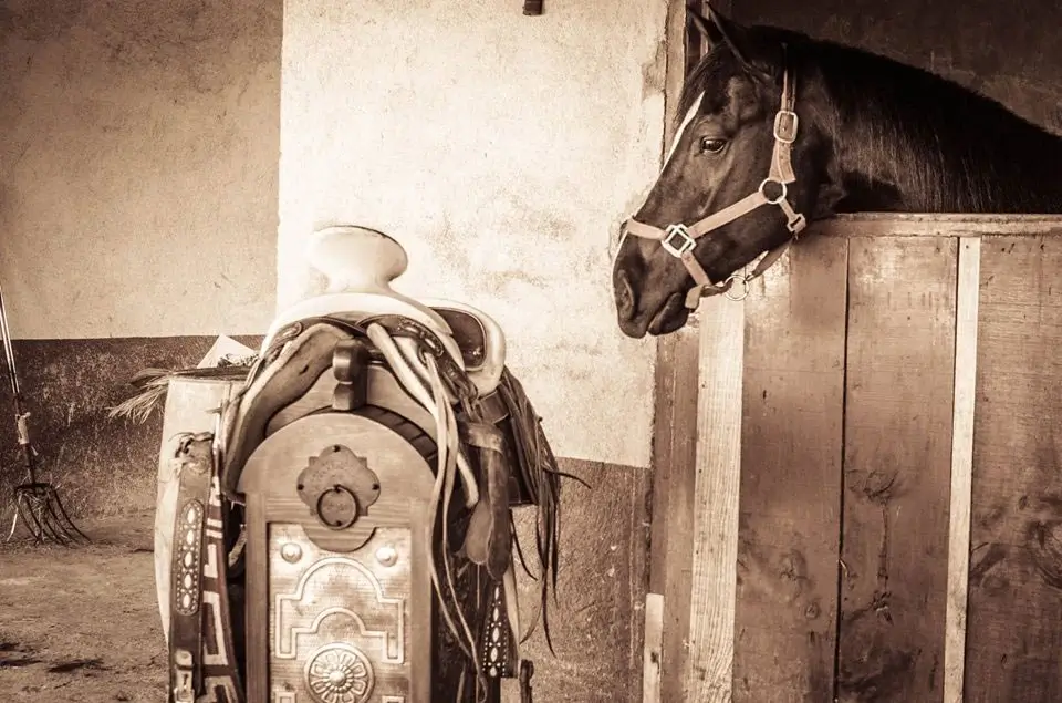 Handcrafted western saddle stand beside a horse